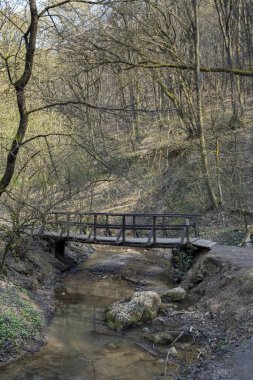 Macaristan 'ın Solymar köyü yakınlarındaki Buda dağlarında küçük tahta köprü..