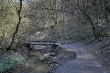 Macaristan 'ın Solymar köyü yakınlarındaki Buda dağlarında küçük tahta köprü..