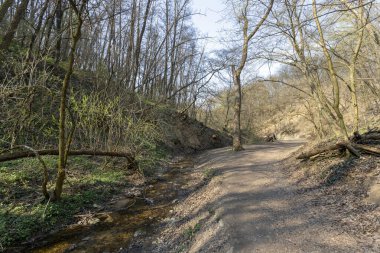Macaristan 'ın Solymar köyü yakınlarındaki Buda dağlarında yürüyüş yolu..