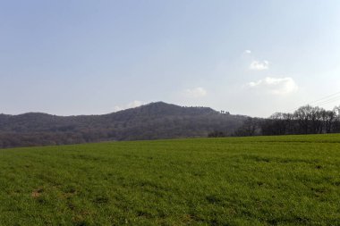 Macaristan 'ın Solymar yakınlarındaki Buda dağlarında güneşli bir bahar gününde yeşil alan.