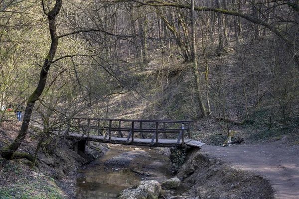 Piccolo Ponte Legno Sulle Montagne Buda Vicino Villaggio Solymar Ungheria — Foto Stock