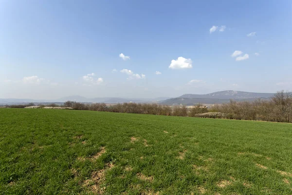 Campo Verde Nas Montanhas Buda Perto Solymar Hungria Dia Ensolarado — Fotografia de Stock