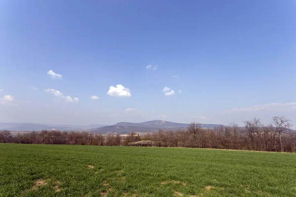 Campo Verde Nas Montanhas Buda Perto Solymar Hungria Dia Ensolarado — Fotografia de Stock