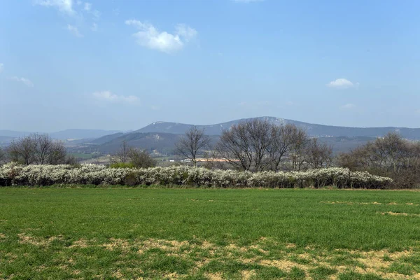 Campo Verde Nas Montanhas Buda Perto Solymar Hungria Dia Ensolarado — Fotografia de Stock