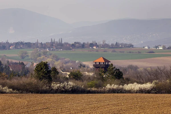 Sisa Sisa Kastil Solymar Hongaria Pada Hari Musim Semi Yang — Stok Foto