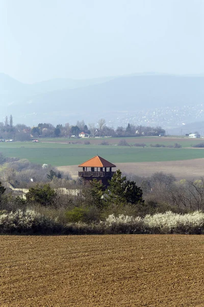 Απομεινάρια Του Κάστρου Στο Solymar Της Ουγγαρίας Μια Ηλιόλουστη Ανοιξιάτικη — Φωτογραφία Αρχείου
