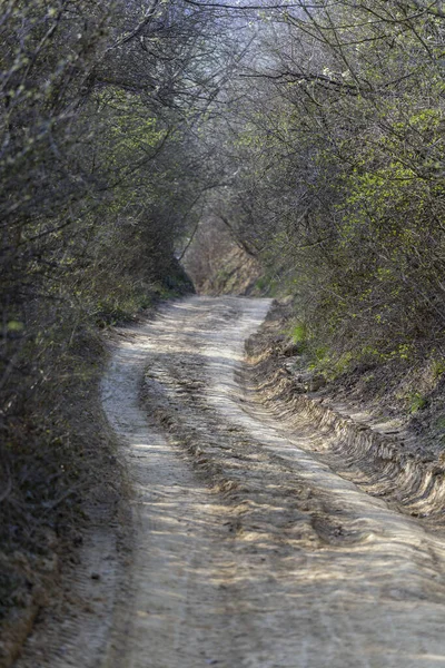 Estrada Terra Nas Montanhas Buda Perto Aldeia Solymar Hungria — Fotografia de Stock