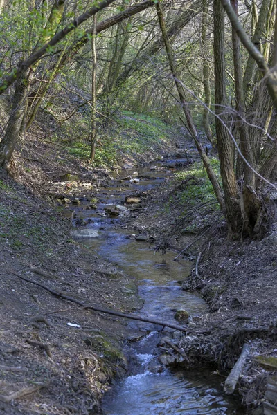 Piccolo Torrente Nelle Montagne Buda Vicino Villaggio Solymar Ungheria — Foto Stock