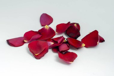 Beyaz arka planda kırmızı gül yaprakları. Düğün, aşk teması.