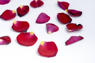 Beyaz arka planda kırmızı gül yaprakları. Düğün, aşk teması.