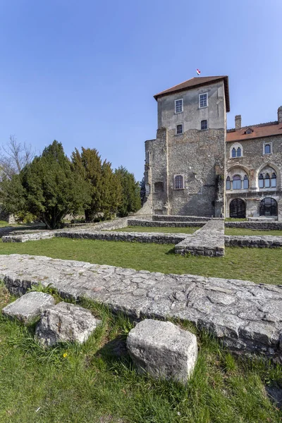 Remains Tata Castle Sunny Spring Day — Stock Photo, Image