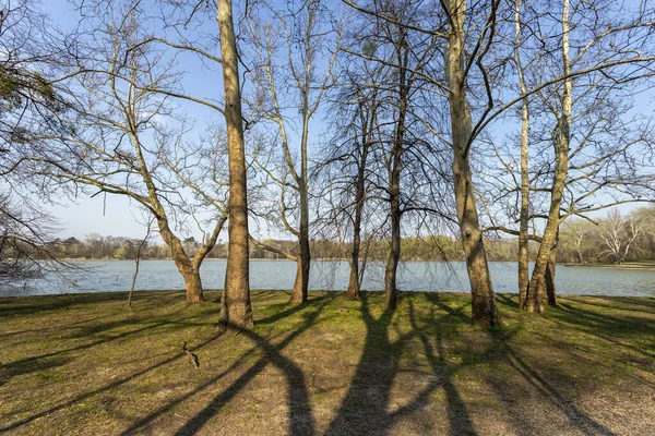 Der Cseke See Tata Ungarn — Stockfoto