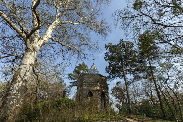 Moskén Den Engelska Trädgården Tata Ungern — Stockfoto