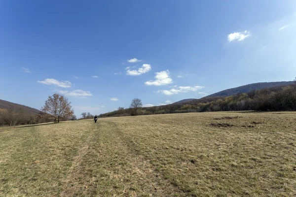 Pradera Gyadai Cerca Del Pueblo Szendehely Hungría — Foto de Stock