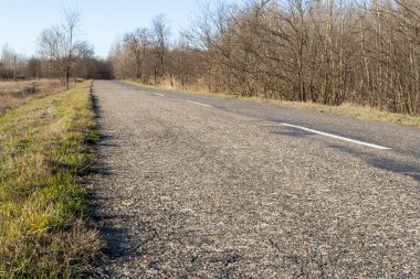 Macaristan 'ın Szabadszallas yakınlarındaki Büyük Macaristan Ovası' nda güneşli bir kış günü.