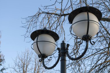 Kel ağaçların altında Lamppost bir kış akşamı.