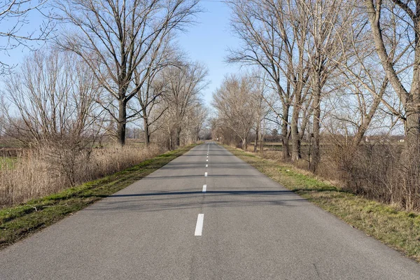 Camino Gran Llanura Húngara Cerca Szabadszallas Hungría Día Soleado Invierno —  Fotos de Stock