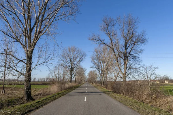 Droga Wielkiej Równinie Węgierskiej Pobliżu Szabadszallas Węgrzech Słoneczny Zimowy Dzień — Zdjęcie stockowe