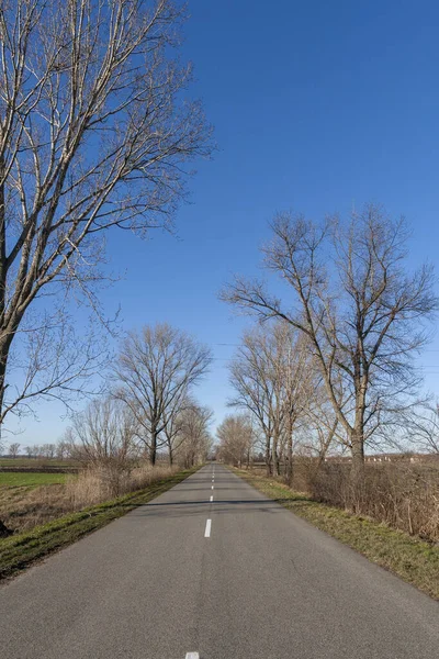 Camino Gran Llanura Húngara Cerca Szabadszallas Hungría Día Soleado Invierno —  Fotos de Stock