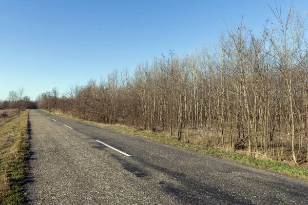 Camino Gran Llanura Húngara Cerca Szabadszallas Hungría Día Soleado Invierno —  Fotos de Stock