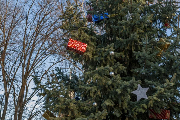 Christmas Tree Park — Stock Photo, Image