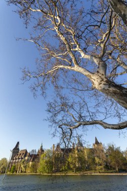 Macaristan 'ın Budapeşte kentindeki Vajdahunyad Şatosu.