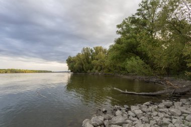 Macaristan 'da Erd yakınlarında Tuna Nehri kıyısı.