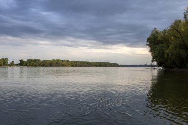 Macaristan 'da Erd yakınlarında Tuna Nehri kıyısı.