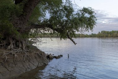 Macaristan 'da Erd yakınlarında Tuna Nehri kıyısı.