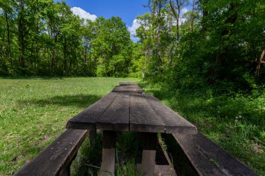 Güneşli bir bahar gününde Macaristan 'ın Ocsa kasabası yakınlarındaki ormandaki güzel bir çayırda banklar..