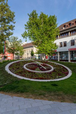 Szekesfehervar, Macaristan - 05 09 2020: Güneşli bir bahar gününde Szekesfehervar 'da çiçek saati.