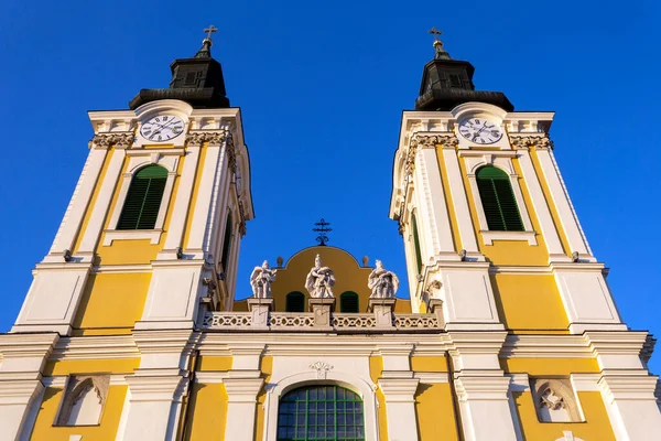 Kathedraal Basiliek Van Szekesfehervar Kathedraal Basiliek Van Stephen Koning — Stockfoto