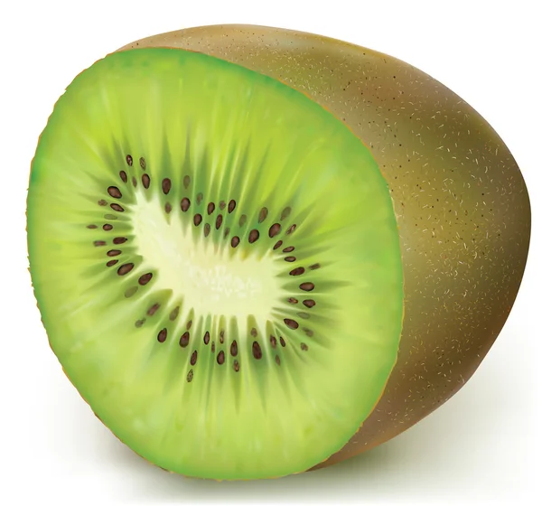 Halbe Kiwi-Frucht — Stockvektor