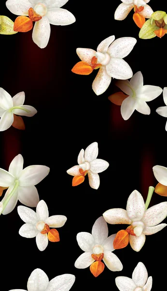 Orchidee fiori sfondo — Vettoriale Stock