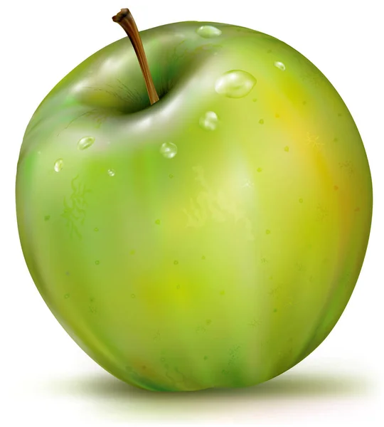 Vector de manzana verde sobre fondo blanco — Vector de stock