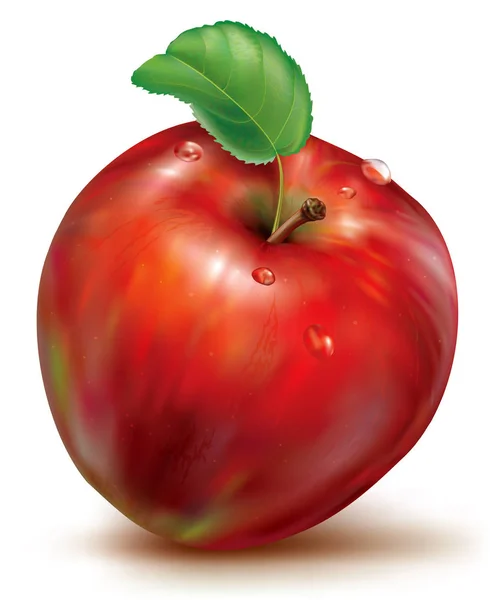 Вектор красного яблока на белом фоне — стоковый вектор