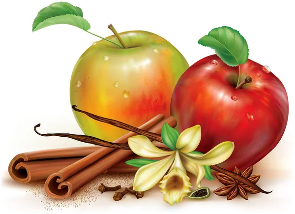 Яблука та ароматичні спеції — стоковий вектор