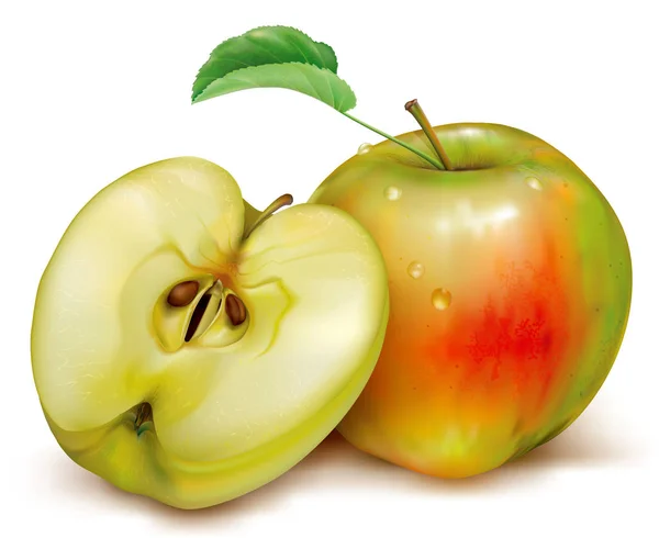 Ensemble et la moitié des pommes sur fond blanc — Image vectorielle