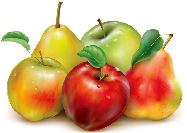 Jabłka i gruszki — Wektor stockowy
