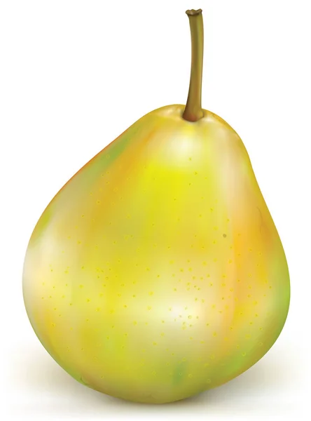 Grönt päron på vit bakgrund — Stock vektor