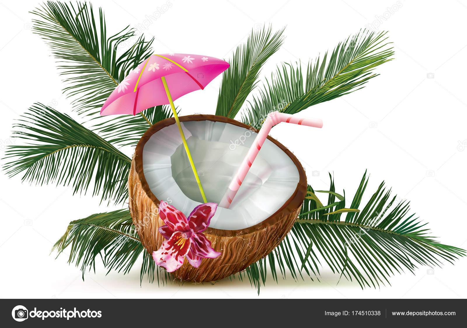 coco exotique cocktail avec des feuilles de palmier et de fleur dorchide illustration vectorielle vecteur par draco zlat - Palmier Coco coco exotique cocktail avec des feuilles de palmier et de fleur dorchide illustration vectorielle vecteur par draco zlat - Palmier Coco