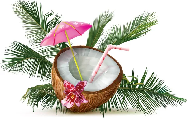 Coquetel de coco com folhas de palma —  Vetores de Stock