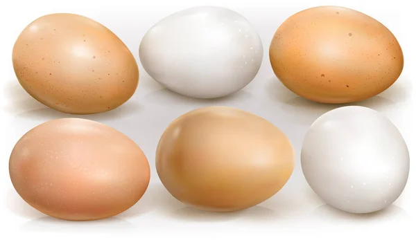 Hühnereier Auf Weißem Hintergrund Vektorillustration — Stockvektor