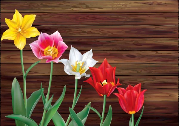 Tulipany na drewnianym tle — Wektor stockowy