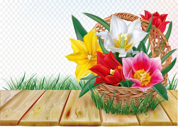 Cesta con ramo de tulipanes — Vector de stock