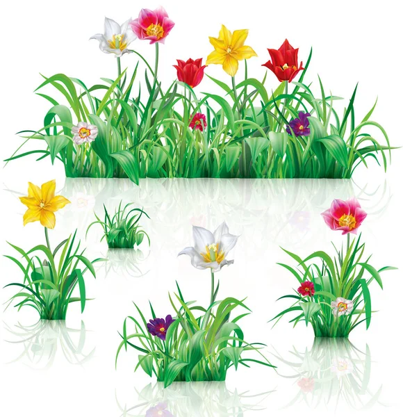 Λουλούδια και το πράσινο γρασίδι — Διανυσματικό Αρχείο
