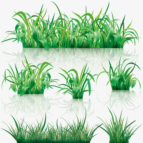 Herbe verte — Image vectorielle