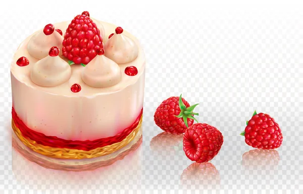 Gâteau crémeux aux framboises — Image vectorielle