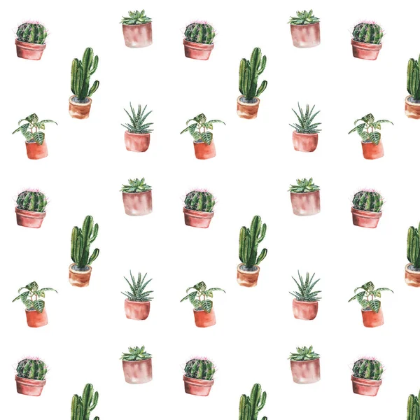 Botanik suluboya desen. Desen kaktüsler ve sulu.
