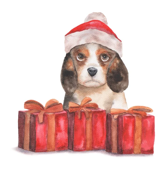 Aquarell-Illustration des Neujahrshundes mit Geschenken. Jahr des Hundes. — Stockfoto